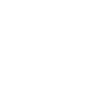 Initial Consultation 